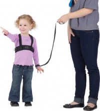 Jeep 2-in-1 Safety Harness Jeep 2-in-1 Safety Harness