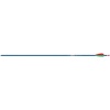 6 - Pk. Easton Genesis II Arrows