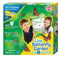 Insect Lore Butterfly Garden Insect Lore Butterfly Garden