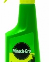 Miracle-Gro 100540 Leaf Shine Ready-to-Use Spray, 12-Ounce