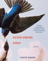 Never-Ending Birds: Poems