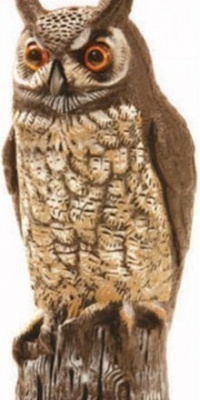 Dalen OW6 Gardeneer 16-Inch Molded Owl Dalen OW6 Gardeneer 16-Inch Molded Owl