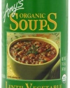 Amy's Organic Lentil Vegetable Soup, 14.5-Ounce Cans (Pack of 12)