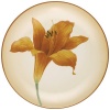 Noritake Colorwave Daylily Accent Plate, Terra Cotta