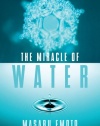 The Miracle of Water