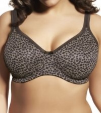 Elomi Asia Underwire Moulded Bra Elomi Asia Underwire Moulded Bra