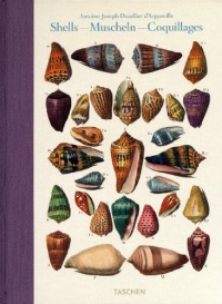Shells / Muscheln / Coquillages: Conchology, or The Natural History of Sea, Freshwater, Terrestrial and Fossil Shells (English, French and German Edition) Shells / Muscheln / Coquillages: Conchology, or The Natural History of Sea, Freshwater, Terrestrial and Fossil Shells (English, French and German Edition)
