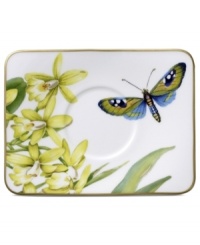 An exotic beauty, the Amazonia after-dinner saucer brings a room to life with flora and fauna from the rainforest. Luscious color and sumptuous gold accents adorn the premium bone china of Villeroy & Boch. An exotic beauty, the Amazonia after-dinner saucer brings a room to life with flora and fauna from the rainforest. Luscious color and sumptuous gold accents adorn the premium bone china of Villeroy & Boch.