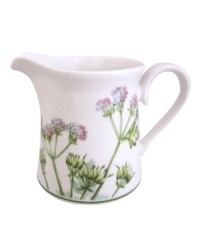 A natural for casual dining, the Althea Nova creamer by Villeroy & Boch features durable porcelain planted with delicate herbs for a look that's fresh from the garden. A natural for casual dining, the Althea Nova creamer by Villeroy & Boch features durable porcelain planted with delicate herbs for a look that's fresh from the garden.