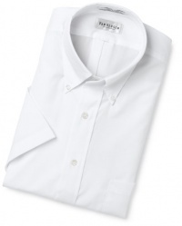Van Heusen Men's Big Easy Care Pinpoint Solid Short Sleeve Shirt Van Heusen Men's Big Easy Care Pinpoint Solid Short Sleeve Shirt