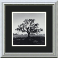 Oak Tree, Sunrise, Northern California, 1966 by Ansel Adams, Framed Print Art - 13.86 x 13.86 Oak Tree, Sunrise, Northern California, 1966 by Ansel Adams, Framed Print Art - 13.86 x 13.86