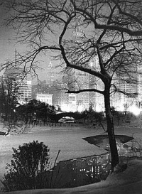 Winter Night NY Central Park Photo 14x20 Limited-Edition Artistic Planked Wood Sign Winter Night NY Central Park Photo 14x20 Limited-Edition Artistic Planked Wood Sign
