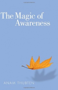 The Magic Of Awareness