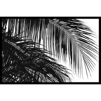 Palms 3 Framed Art Print by Jamie Kingham Palms 3 Framed Art Print by Jamie Kingham