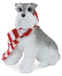 Bark up the right tree with a Christmas ornament for your dog – or a fellow animal lover! A handsome gray Schnauzer poses in his holiday finest – a candy-cane striped scarf. From Sandicast. Bark up the right tree with a Christmas ornament for your dog – or a fellow animal lover! A handsome gray Schnauzer poses in his holiday finest – a candy-cane striped scarf. From Sandicast.