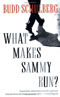 What Makes Sammy Run? What Makes Sammy Run?