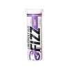 Hammer Nutrition Endurolytes Fizz Electrolyte Tablets - 1 Tube