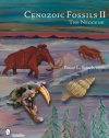 Cenozoic Fossils II The Neogene