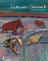 Cenozoic Fossils II The Neogene
