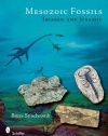 Mesozoic Fossils I: Triassic & Jurassic Periods