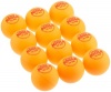JOOLA 1-Star 40mm Training Table Tennis Balls - 12 Pack