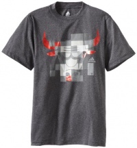 NBA Men's Chicago Bulls Graystone Cubicle Tee Shirt (Grey, Medium) NBA Men's Chicago Bulls Graystone Cubicle Tee Shirt (Grey, Medium)