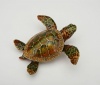 Wild Sea Turtle Box Swarovski Crystals Hawaiian Green Loggerhead Flatback Turtle Figurine