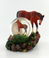 Snow Globe Horse with Foal Collection Figurine