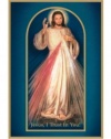 The Divine Mercy Message and Devotion