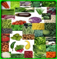 Survival Vegetable Seeds Non Hybrid 47 Variety Heirloom Survival Vegetable Seeds Non Hybrid 47 Variety Heirloom