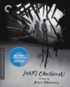 Ivan's Childhood (Criterion Collection) [Blu-ray]