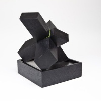 Tegu The Asterisk Desk Toy - Black/Green Tegu The Asterisk Desk Toy - Black/Green