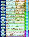 Safari LTD Evolution of Life Laminated Poster