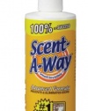 Hunter's Specialties Scent-A-Way Scent Elimination Odorless Spray