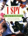 Scholastic Reader Level 1: I Spy a Butterfly