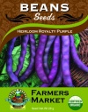 Organic Heirloom Royalty Purple Bush Beans Seeds