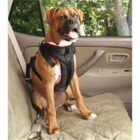 Solvit 62296 Pet Vehicle Safety Harness, Large Solvit 62296 Pet Vehicle Safety Harness, Large