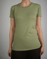Alternative Apparel Ladies Basic Crewneck T-Shirt, fern, Medium Alternative Apparel Ladies Basic Crewneck T-Shirt, fern, Medium