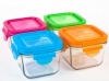 Wean Green Garden Pack Snack Cubes Glass Food Containers, Multi-colored , Set of 4