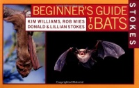 Stokes Beginner's Guide to Bats Stokes Beginner's Guide to Bats