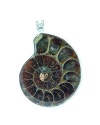 Natural Ammonite Fossil Silver Tone Pendants