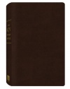 THE KJV STUDY BIBLE (BONDED LEATHER) (King James Bible)