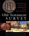 Old Testament Survey: The Message, Form, and Background of the Old Testament