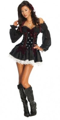 Playboy Secret Wishes Swashbuckler Pirate Costume