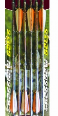 Arrow Precision 6 Pack Carbon Arrows (20-Inch) Arrow Precision 6 Pack Carbon Arrows (20-Inch)