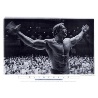 Arnold Schwarzenegger Poster Movie E 27x40 People Poster Print, 40x27 Arnold Schwarzenegger Poster Movie E 27x40 People Poster Print, 40x27