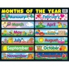 Carson Dellosa Months of the Year Chart (6277)