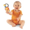 Fisher-Price Discover 'n Grow Lion Ring Rattle