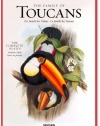John Gould: Family of Toucans