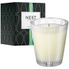 NEST Fragrances NEST01-MM Moss and Mint Scented Classic Candle